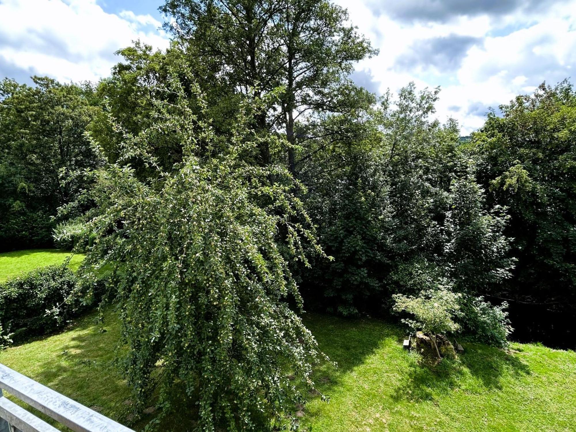 Ferienwohnung Sauerland An Der Ruhr Olsberg Zewnętrze zdjęcie