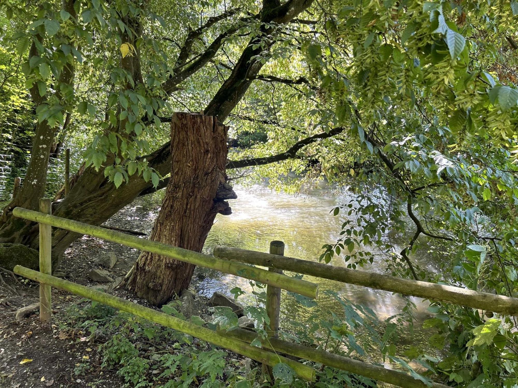 Ferienwohnung Sauerland An Der Ruhr Olsberg Zewnętrze zdjęcie