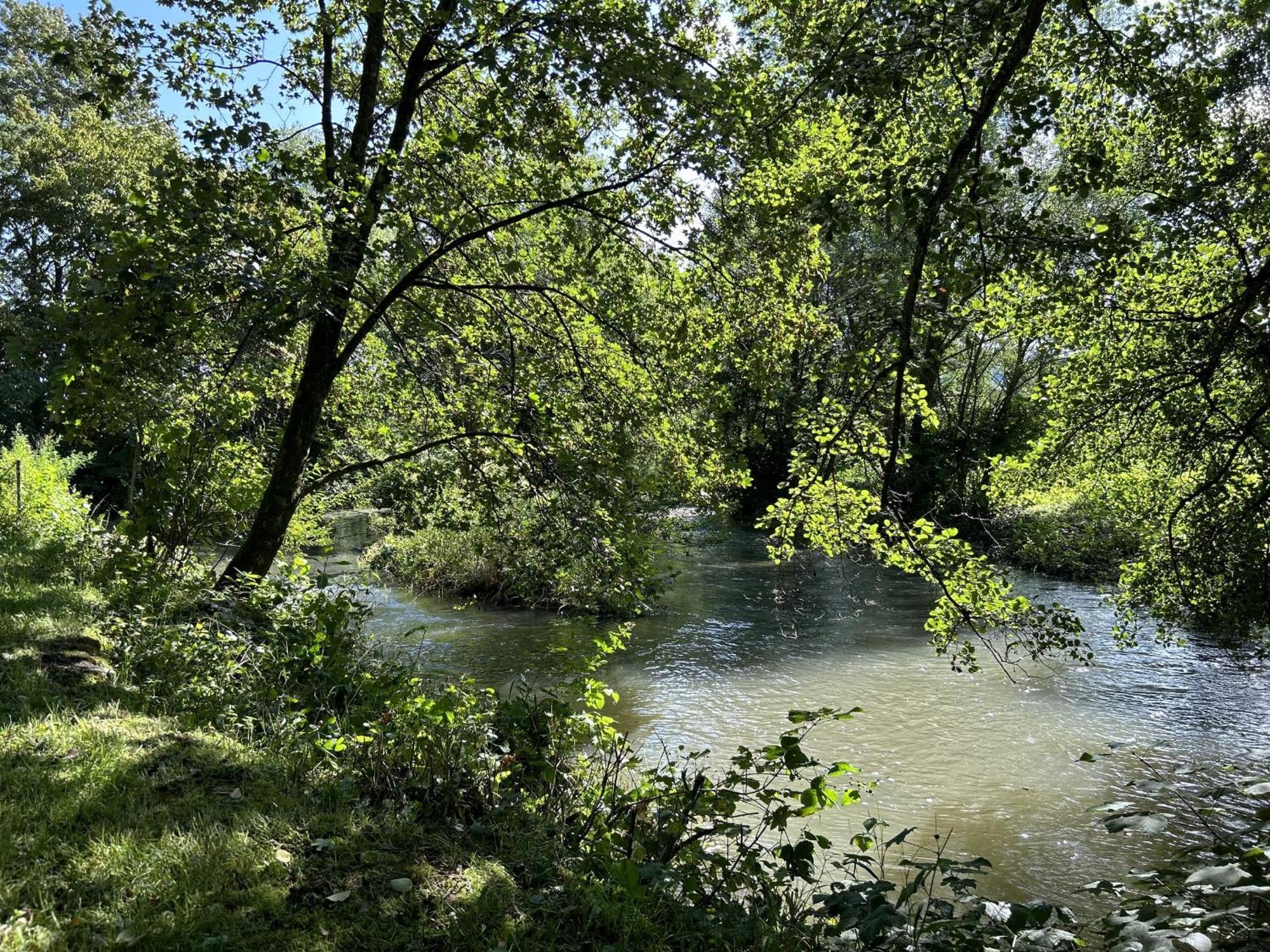 Ferienwohnung Sauerland An Der Ruhr Olsberg Zewnętrze zdjęcie
